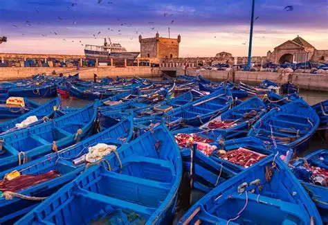 Excursión à Essaouira depuis Marrakech : tout ce qu’il faut savoir