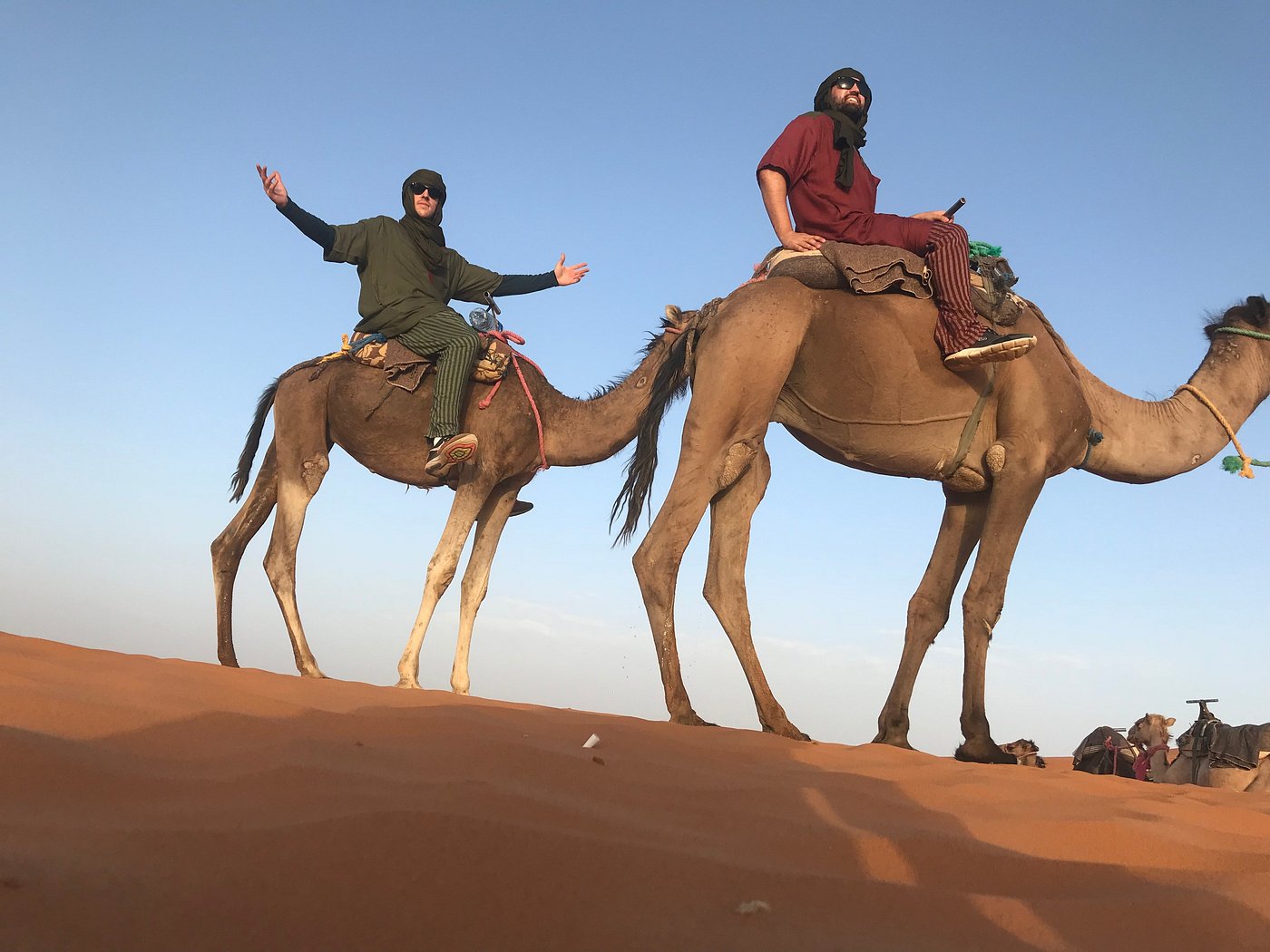 Kameltrekking dans le Sahara : Reiseführer pour les Anfänger