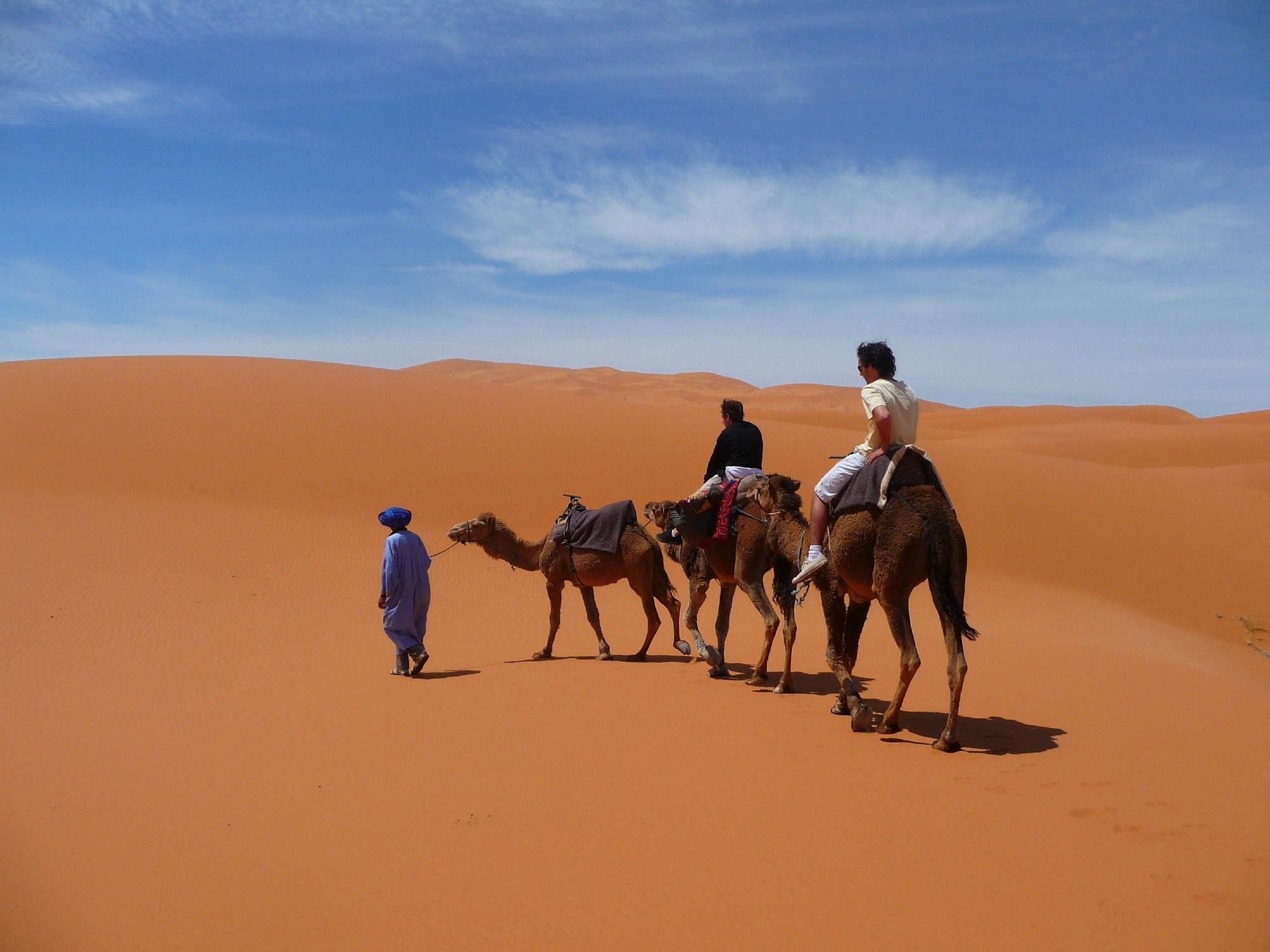 Marrakech City Tour (Day Trip)