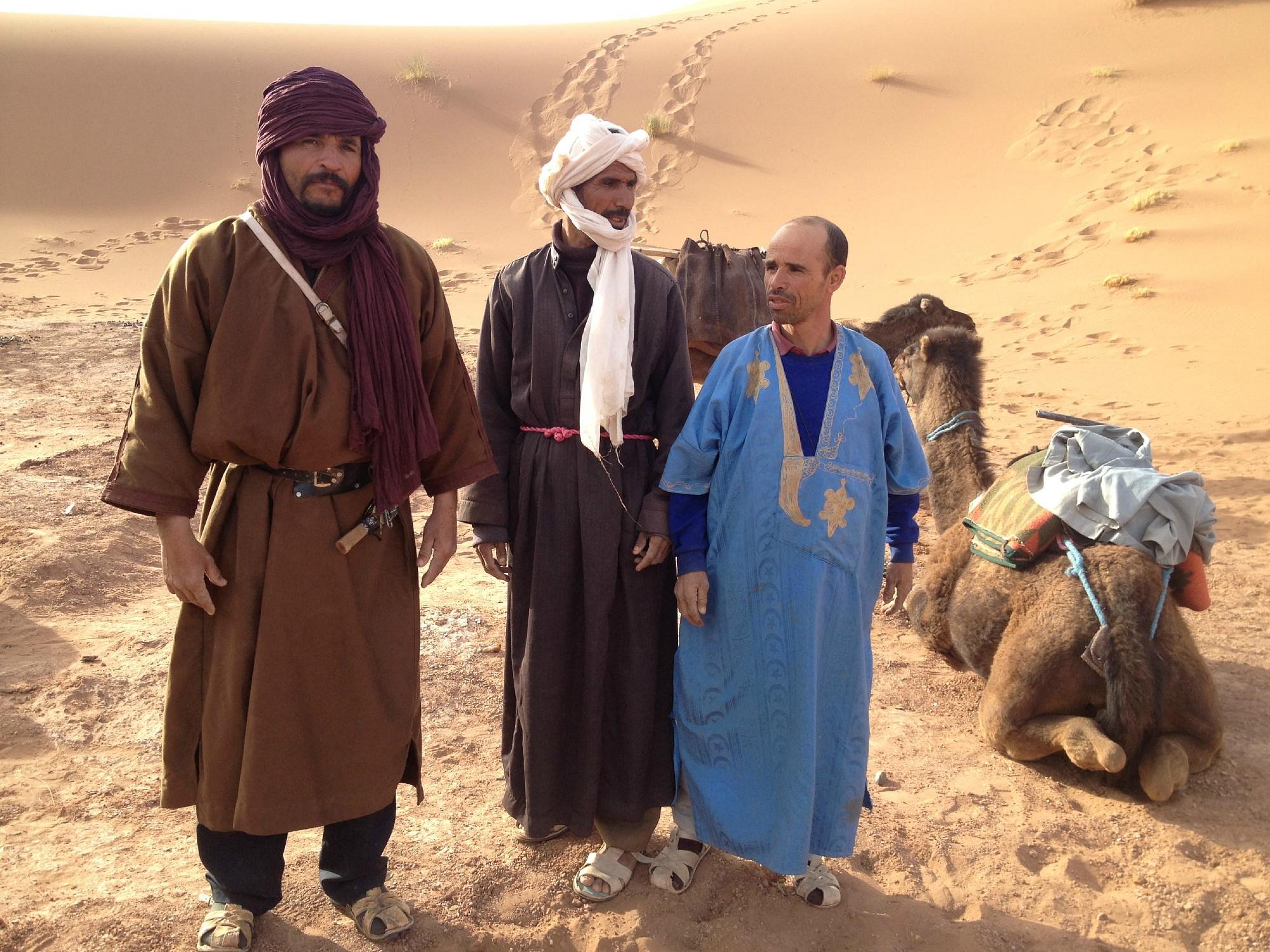 Dades Gorges & The Rose Valley Day Trip From Ouarzazate