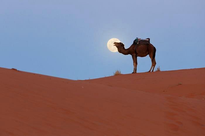 Tour de 3 días: Zagora – M’Hamid