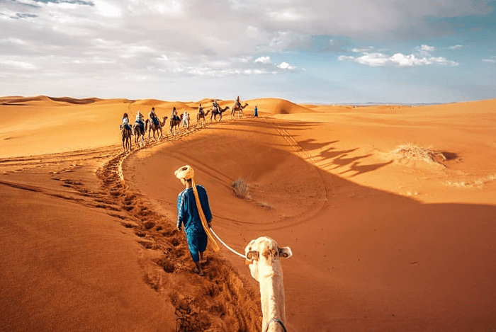 3 days Tours Fes – Ifran – Merzouga – Ouarzazate – Marrakech