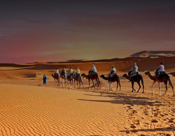 Meharis – 5 Days Camel riding Zagora – Mhamid