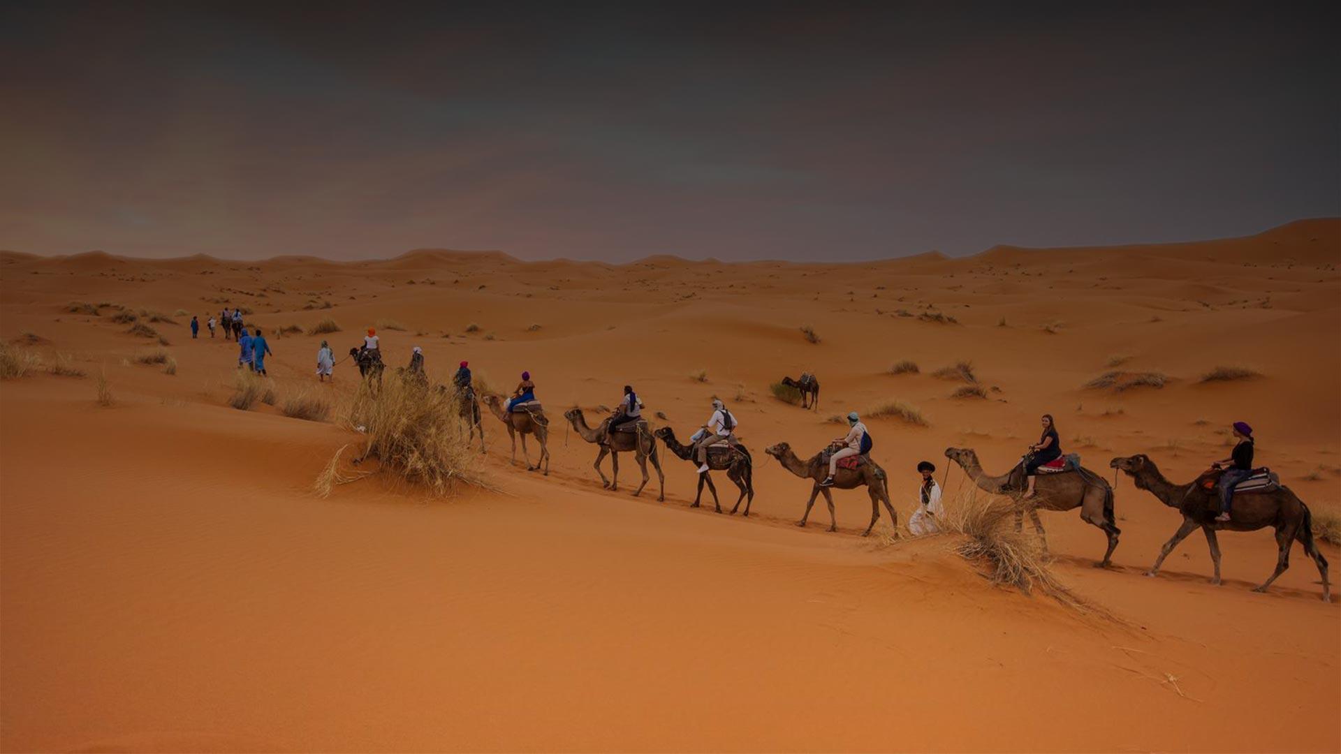 Meharis – 3 Days Camel riding – M’hamid