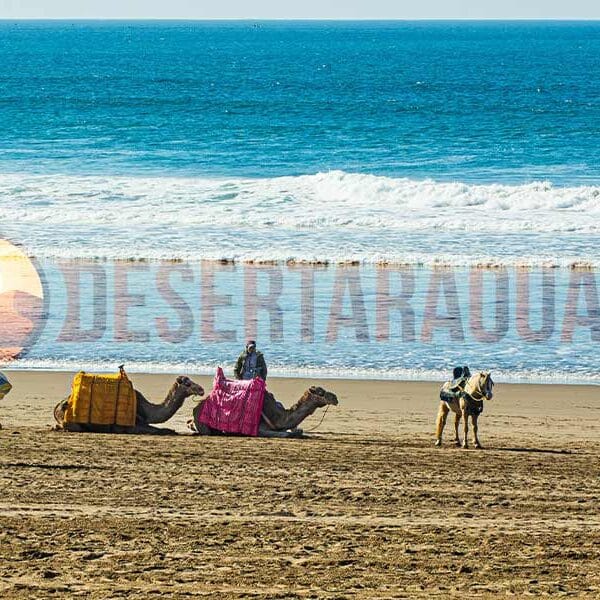 Agadir 1 Day Trip